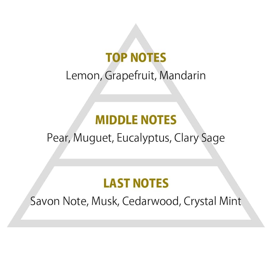 Amazon | primaniacs（プリマニアックス） TVアニメ『マッシュル